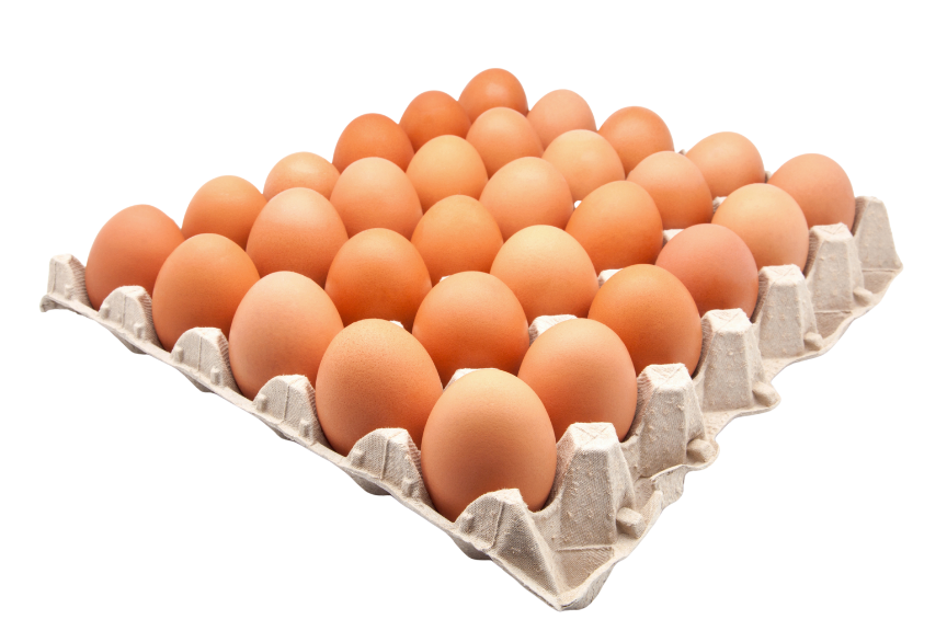 Huevos1 (1)